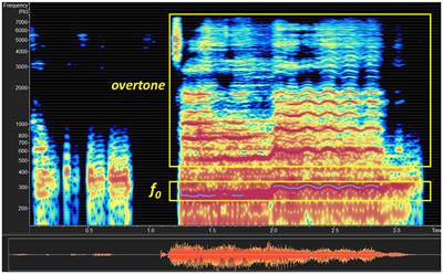 Phantom in the opera: adversarial music attack for robot dialogue system